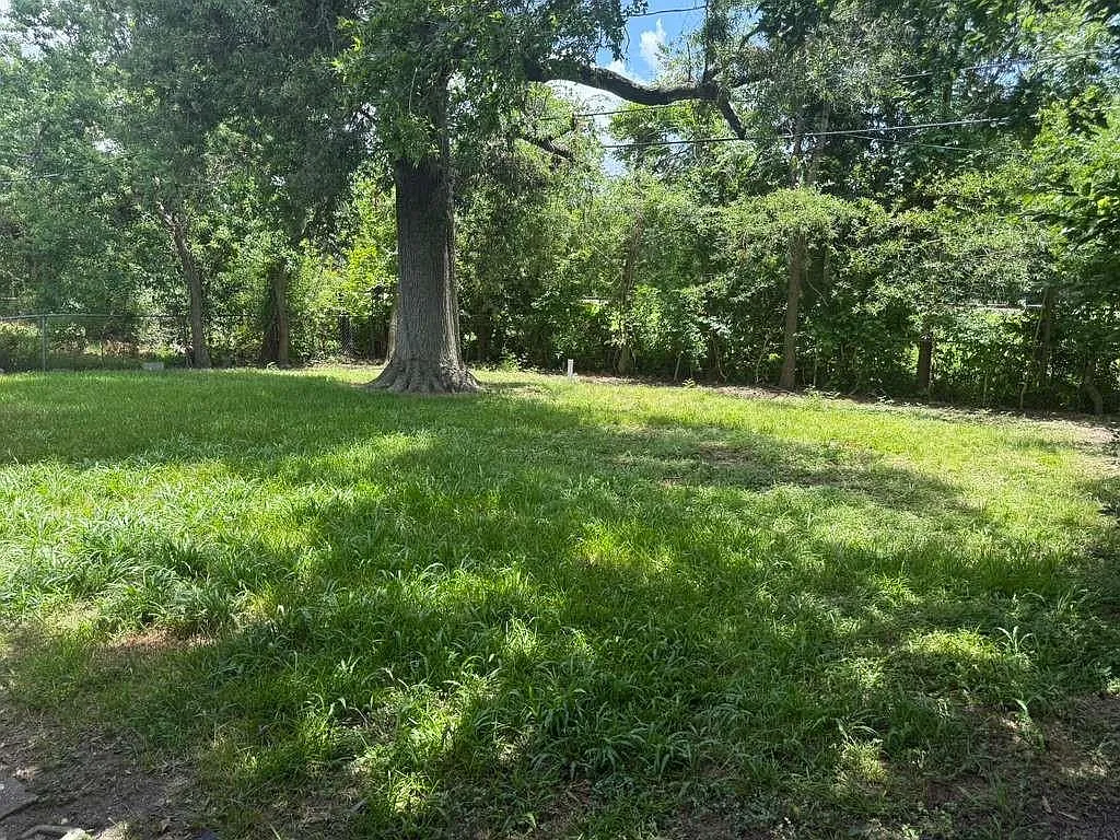 3 bed, 1.0 bath, 1100 sqft, $1,550 — Photo 2