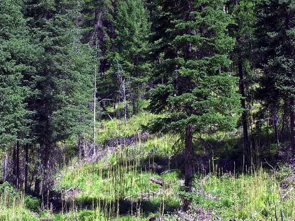 0 Kokopelli Dr #10B, Gibbonsville, ID 83463