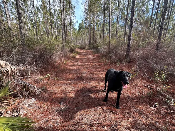 0 SE County Road 245, Lake City, FL 32025