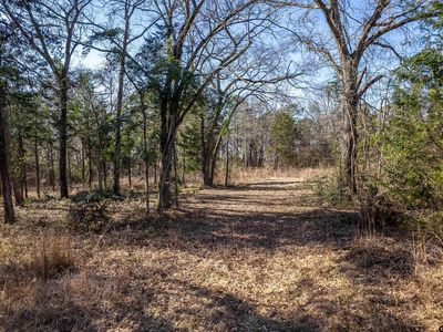 789 County Road 4575, Winnsboro, TX, 75494