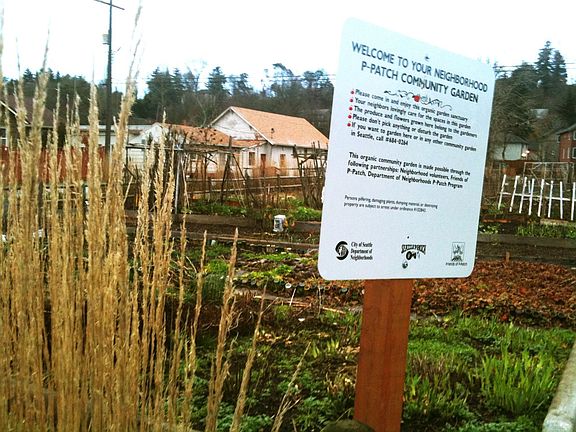 Cottage Grove Pea Patch