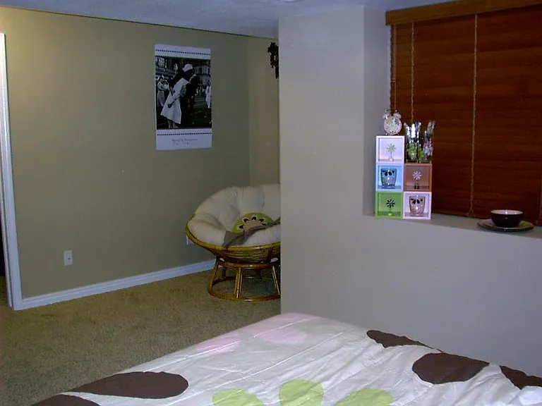 Downstairs Jr. Master Suite