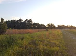 1151 Candlelight Ln, Pinewood, SC 29125