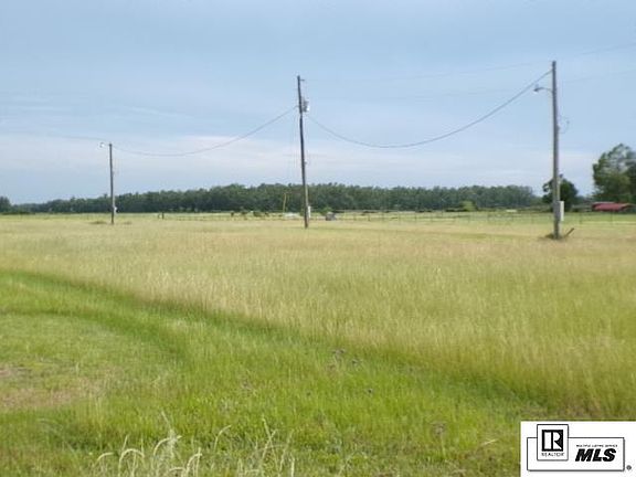 4th image of 137 Pony Greer Rd