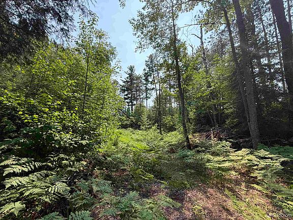 3rd image of 0 Off Granite Lake Rd