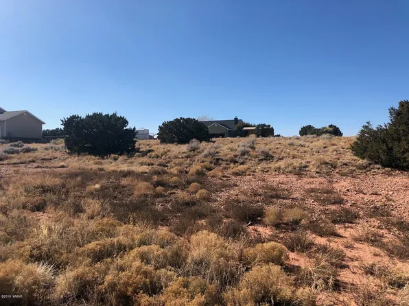 7721 Spring Valley Hill Rd, Taylor, AZ 85939