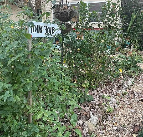 105 Dancing Fox Rd #B — Photo 14