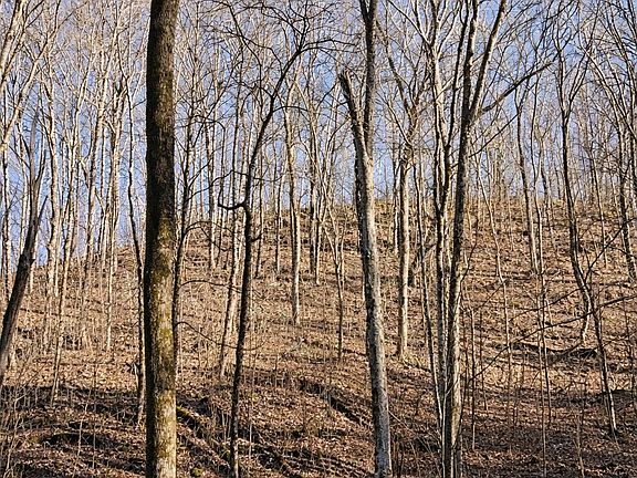 17th image of 0 Hollis Creek Rd S