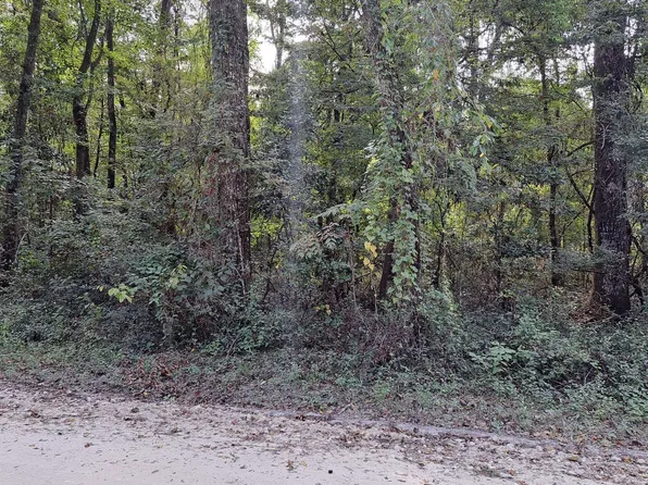 SW Illinois St Lot 46, Fort White, FL 32038