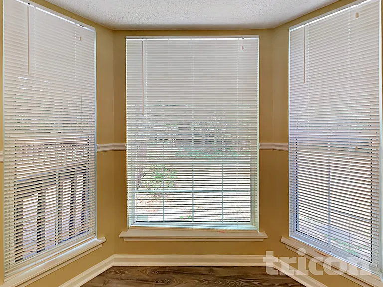 11219 Turmeric Ct — Photo 7