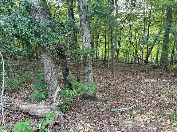 3rd image of 101 Flint Ridge Dr