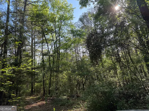 0 Clear Lake Dr, Adairsville, GA 30103