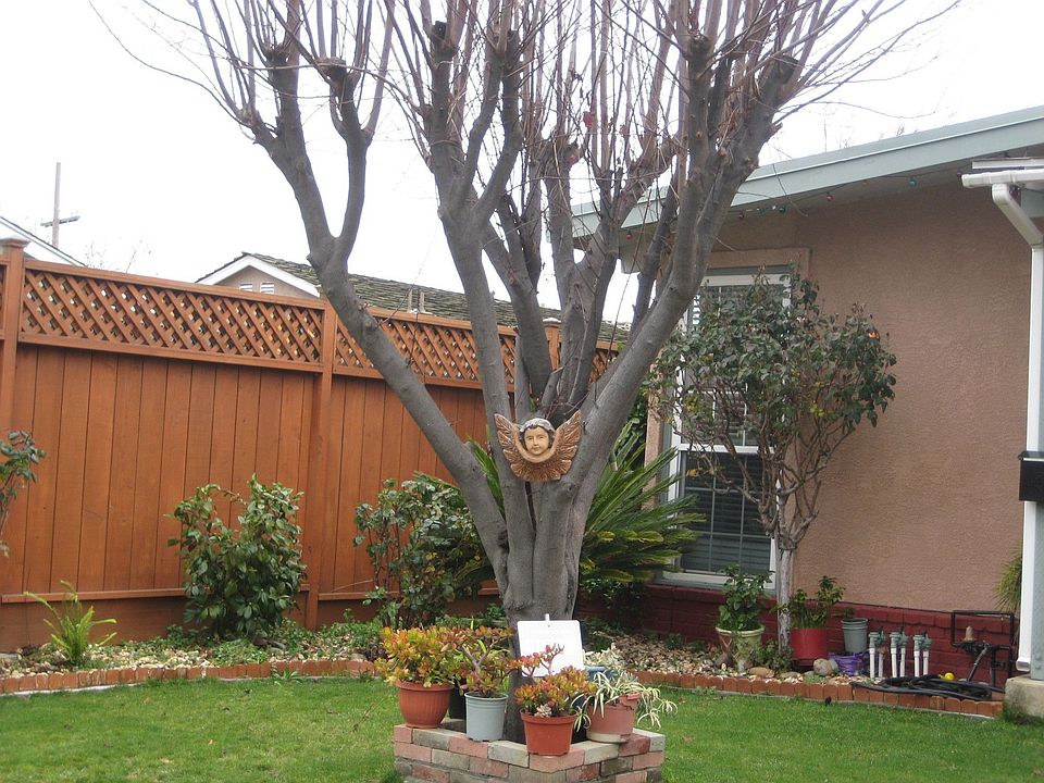 1st image of 30458 Oakmont Way