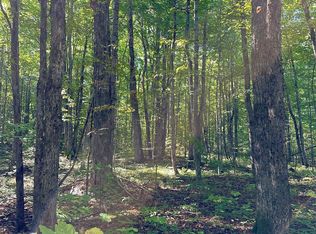 0 Woodland Dr NE, Kalkaska, MI 49646