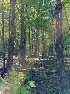 0 Woodland Dr NE, Kalkaska, MI, 49646
