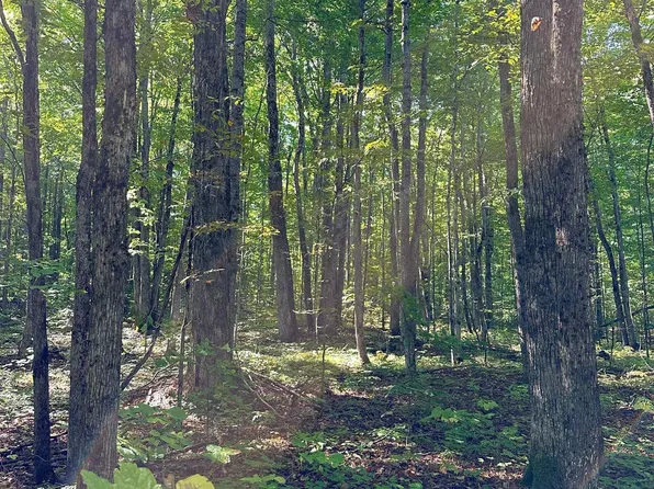 0 Woodland Dr NE, Kalkaska, MI 49646