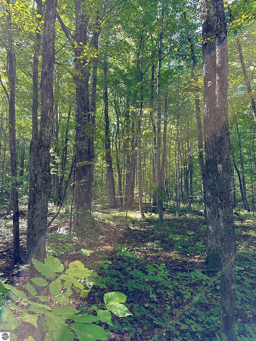 0 Woodland Dr NE photo 1