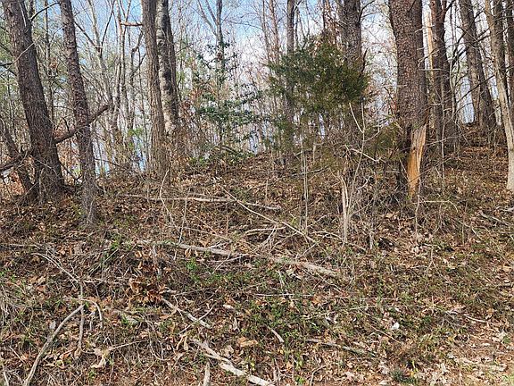 5th image of LOT 4 Maynardville Hwy