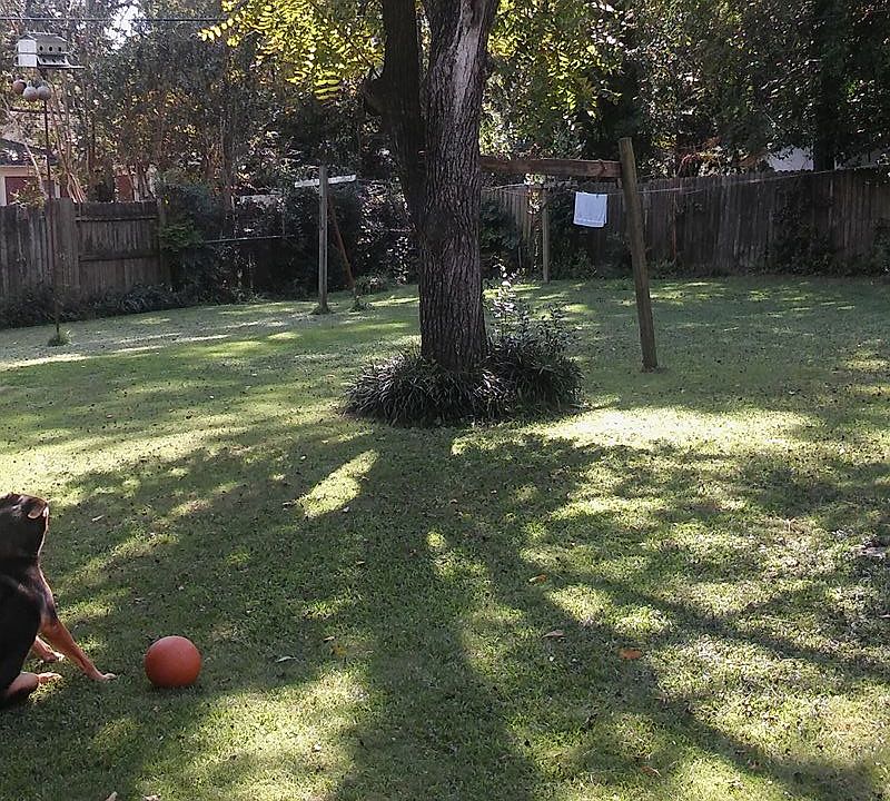 2904 Prentice Ave, Columbia, SC 29205 Zillow