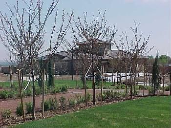 2nd image of 5537 Ventana Ct