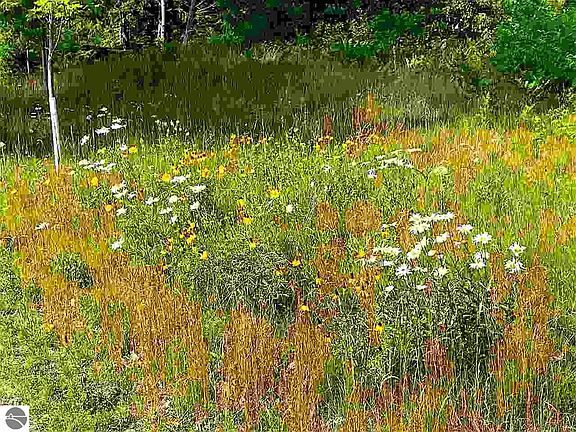 5th image of LOT 5 W Krull Ct