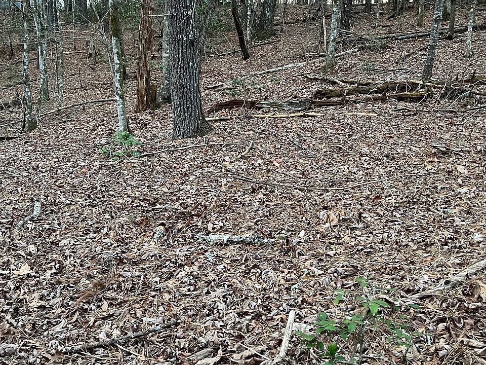 1st image of Mountain Laurel Dr
