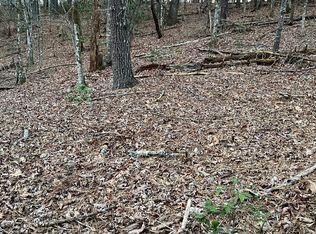 Mountain Laurel Dr, Hayesville, NC 28904