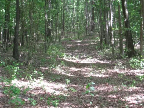 Mc #22, Texarkana, AR 71854