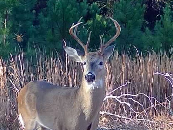 2nd image of Jamestown Rd