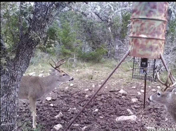 0 SD 24740, Rocksprings, TX 78880
