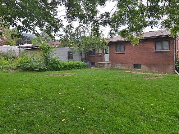 Large back yard w/big trees