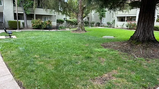 1505 Kirker Pass Rd #131 — Photo 16