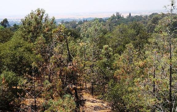 2nd image of Kilaga Springs Rd