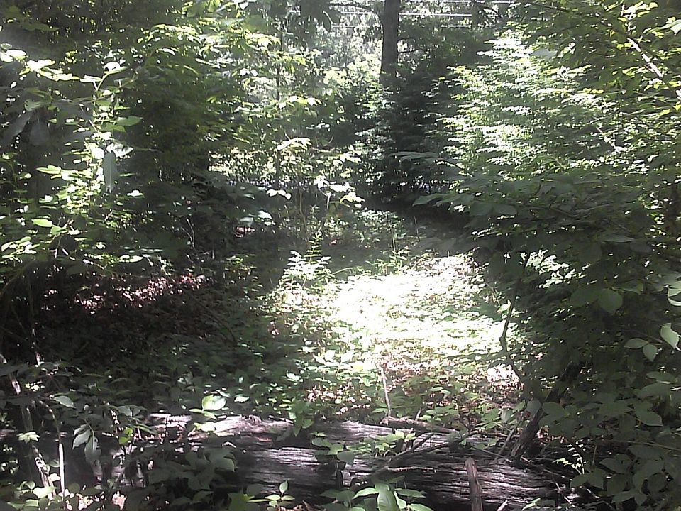 2nd image of Dykes Ln
