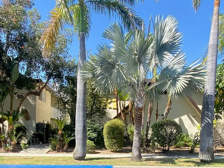 125 W Meda Ave #3 — Photo 1