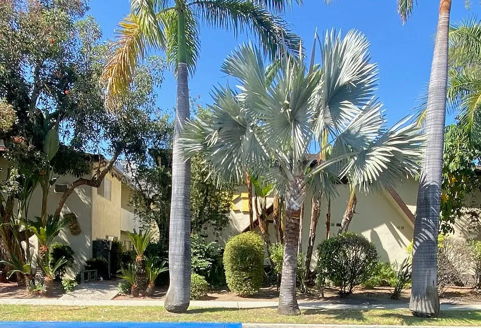 125 W Meda Ave #3