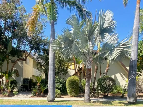 125 W Meda Ave APT 3, Glendora, CA 91741