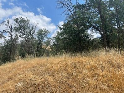 11111 Peck Ln, Squaw Valley, CA, 93675
