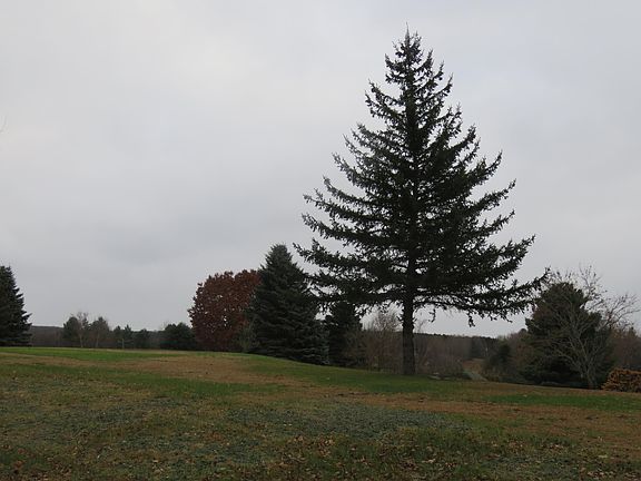 5th image of 1438 County Route 25