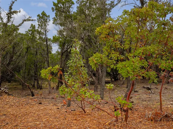 Stagecoach Ranch Loop, Dripping Springs, TX 78620