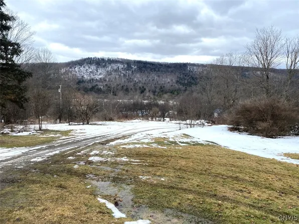 Brad Adams Rd, Wellsville, NY 14895