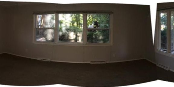 Living Room Windows