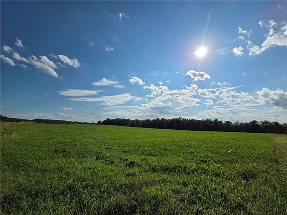 5th image of 4655 Bailey Hill Rd