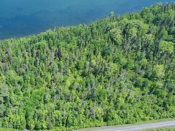 Marble Mountain Road South Side Riv Lot 22, Denys, NS B0E 2Y0