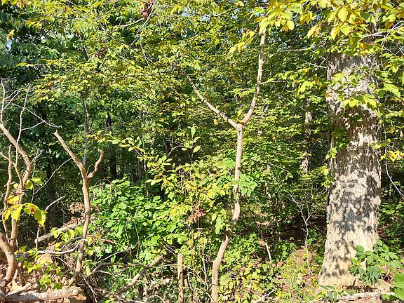 4th image of 000 County Road 405c