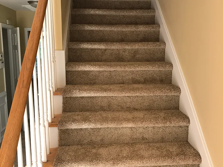 2847 Filbert St — Photo 13