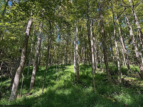 26th image of this home