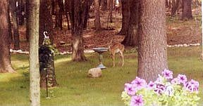 1st image of 941 Geller Ct