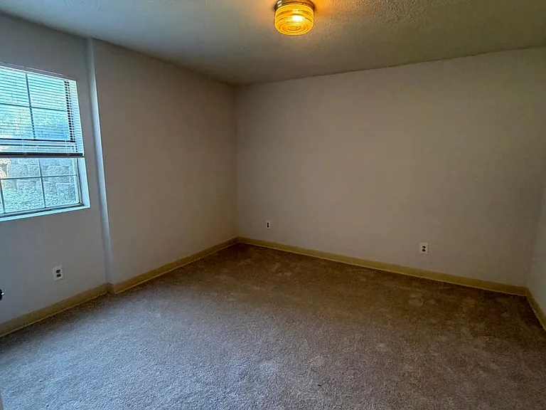 3802 Lexington Dr — Photo 5