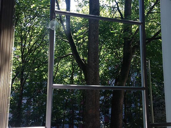 View looking outside